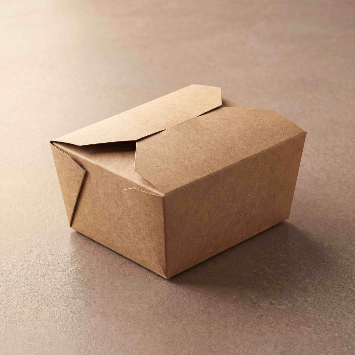 SJ FOLD -TO-GO Container SC 450pcs/cts