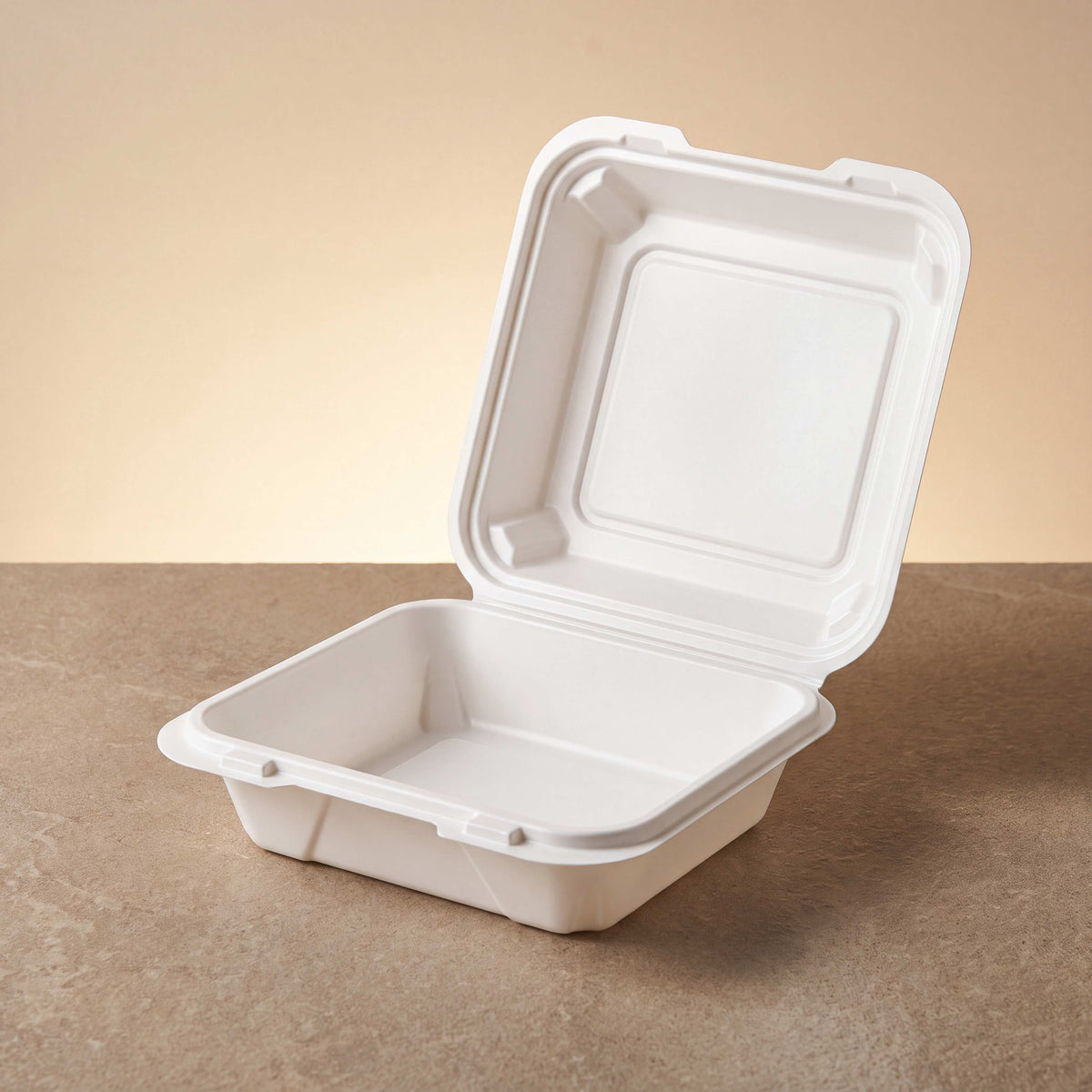 8" 1 Hinged Container 801